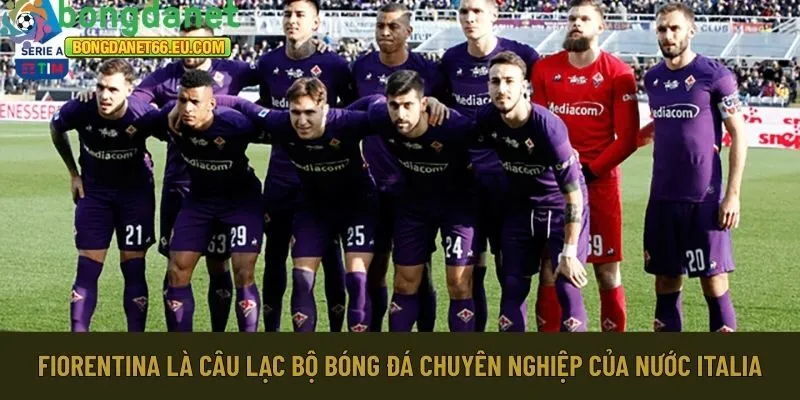 Fiorentina là câu lạc bộ bóng đá Italia