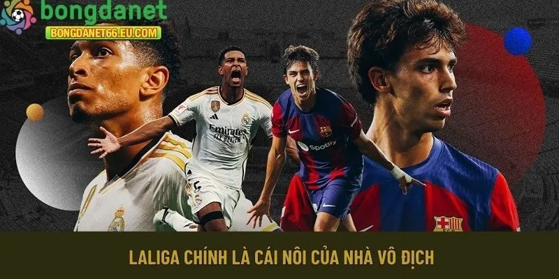 cái nôi của nhà vô địch