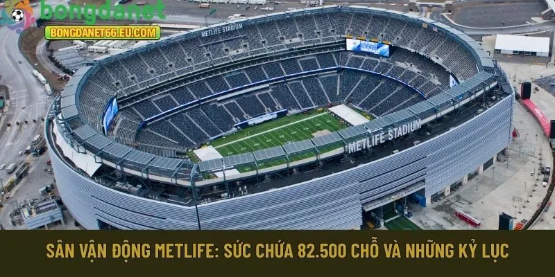 Sân vận động MetLife